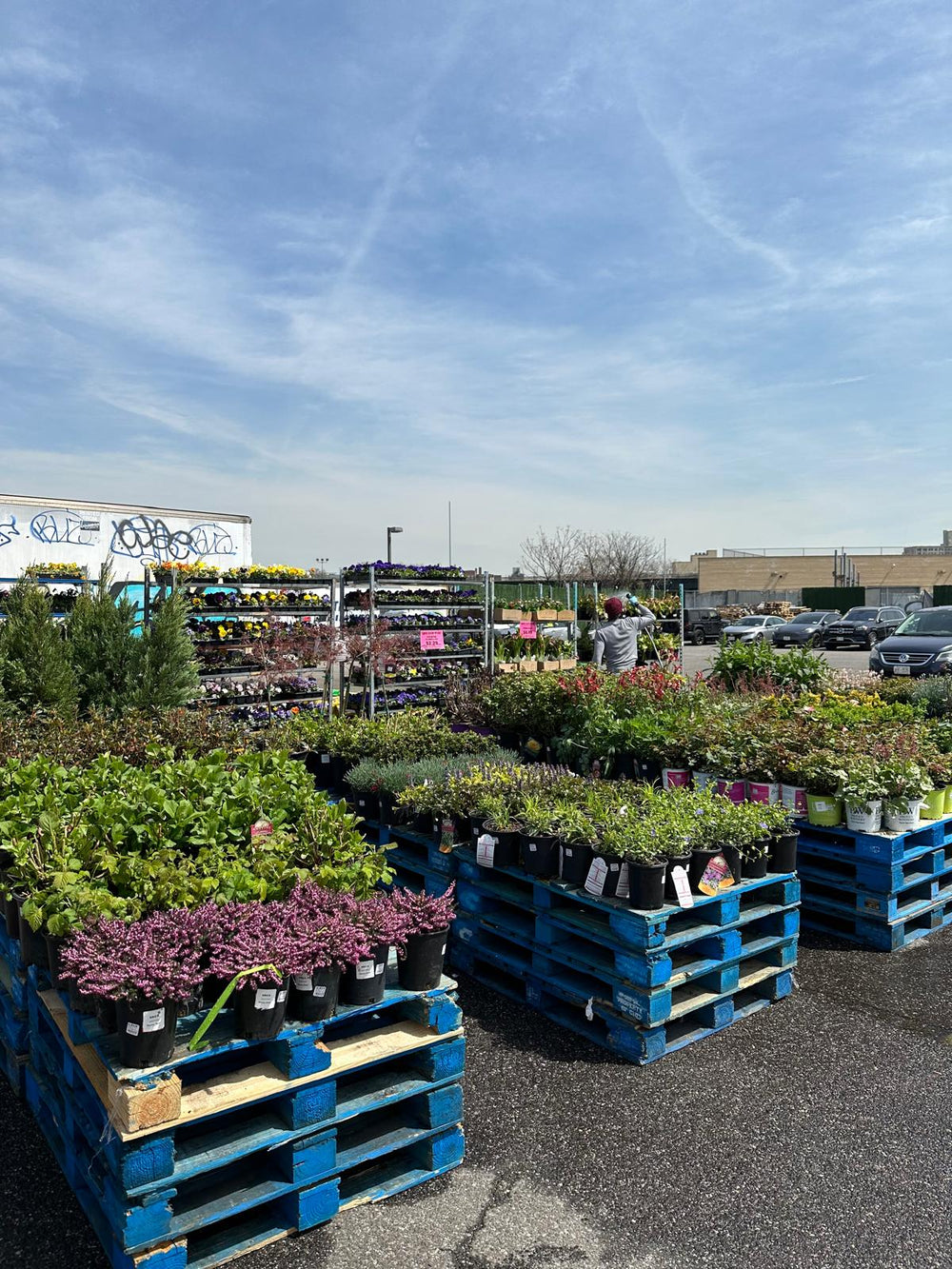 National Wholesale Liquidators