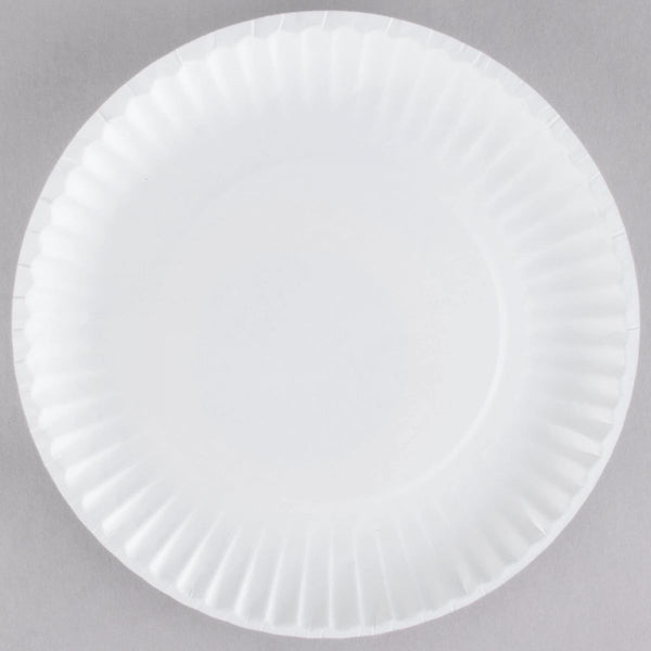 12 Pieces 100 Count White Paper Plates 9 Inch By Eilat - Disposable Plates  & Bowls - at 